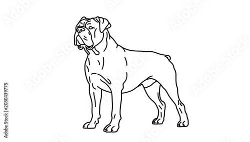 Bold Line Art Dog Standing Isolated on White Background Minimalist Illustration