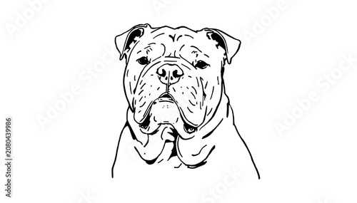 Black and White Line Art Illustration of Wrinkled Dog Portrait on White Background