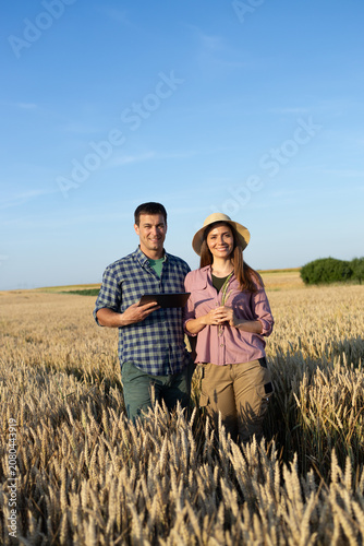Farmers in a wheat field using technology for modern agriculture