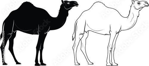 Photos Silhouette and outline icons of single‑hump camel for desert, wildlife, travel,