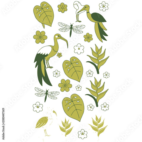 Tropical birds and plants flat vector illustration