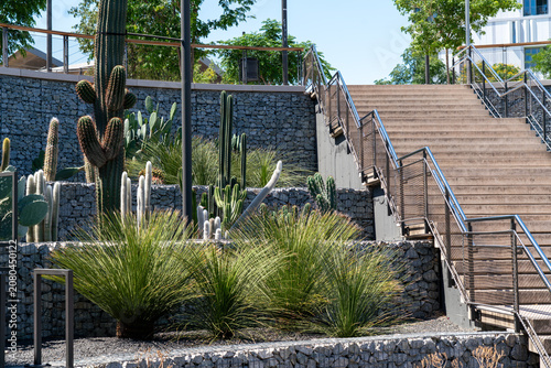 Obraz na plátne Sustainable xeriscaping urban landscape design in Barcelona