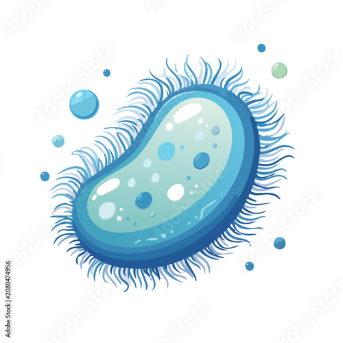Paramecium vector illustration