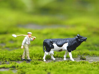 Mini toy of action figure at table with blurred background. Miniature photography concept design. Minifigure of farmer character at farmland with dairy cow. Agriculture concept.