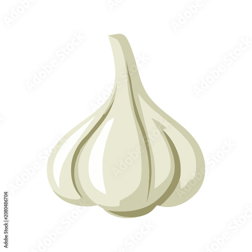 Flat illustration of a garlic bulb