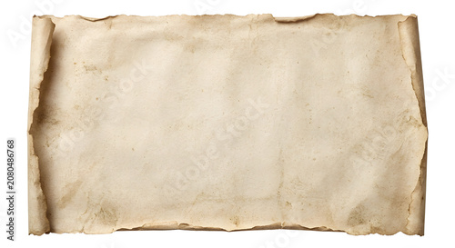 Quadro su tela Unrolled old blank parchment paper sheet