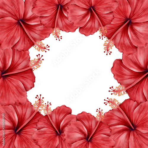 Hibiscus watercolor frame with tropical flowers for wedding invitations, greeting cards, packaging, branding, stationery, banners, elegant summer decorations and seasonal design projects.