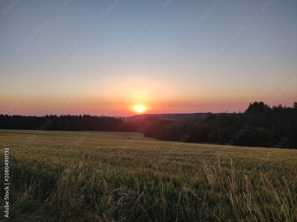 Fototapeta premium Sonnenuntergang über Feldern im Sommer