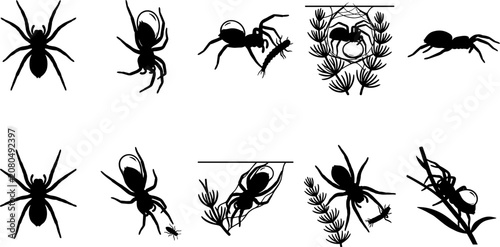 Obraz na plátne vector can editable Diving bell water spider silhouette set showing aquatic beha