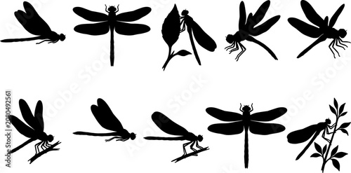 Schilderij op canvas vector can editable Elegant silhouette collection of dragonflies and damselflies