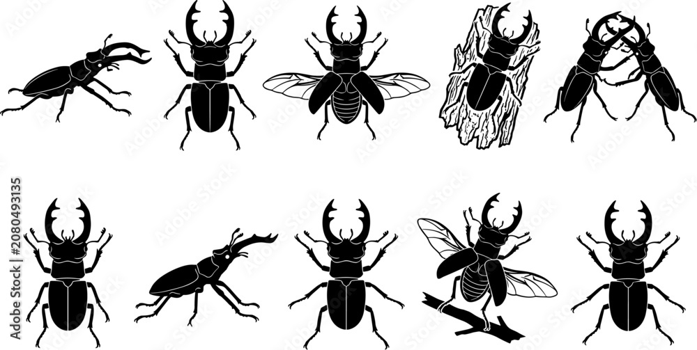 Fototapeta premium vector can editable Intricate stag beetle silhouettes highlighting formidable mandibles and combat stances