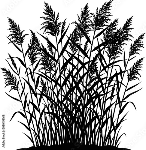 Konstfotografi vector can editable Intricate silhouette of tall marsh reeds and grasses swaying