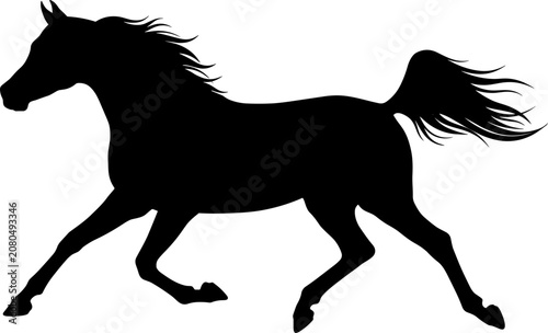 Photos vector can editable Powerful galloping stallion silhouette with flowing mane and