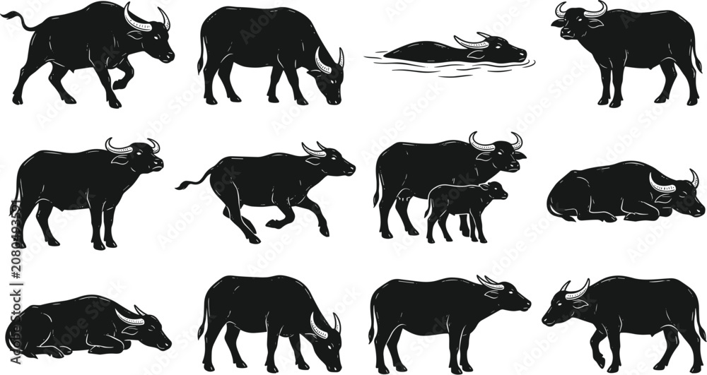 Obraz premium vector can editable Robust water buffalo silhouettes depicting herd dynamics and semi-aquatic lifestyles