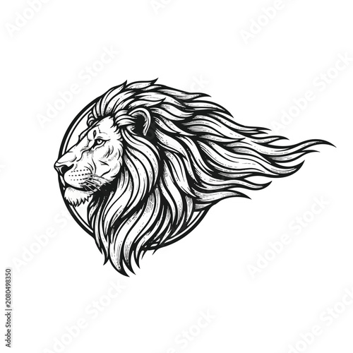 Detailed drawing of a lion head.