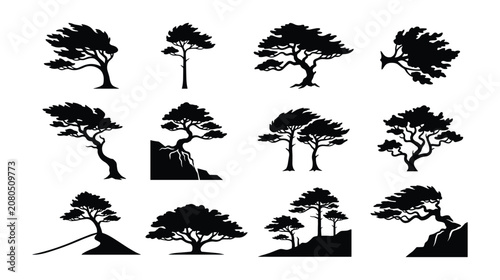 Foto Black Windswept Tree Silhouette Vector Set, Bonsai and Pine Shapes Isolated on W