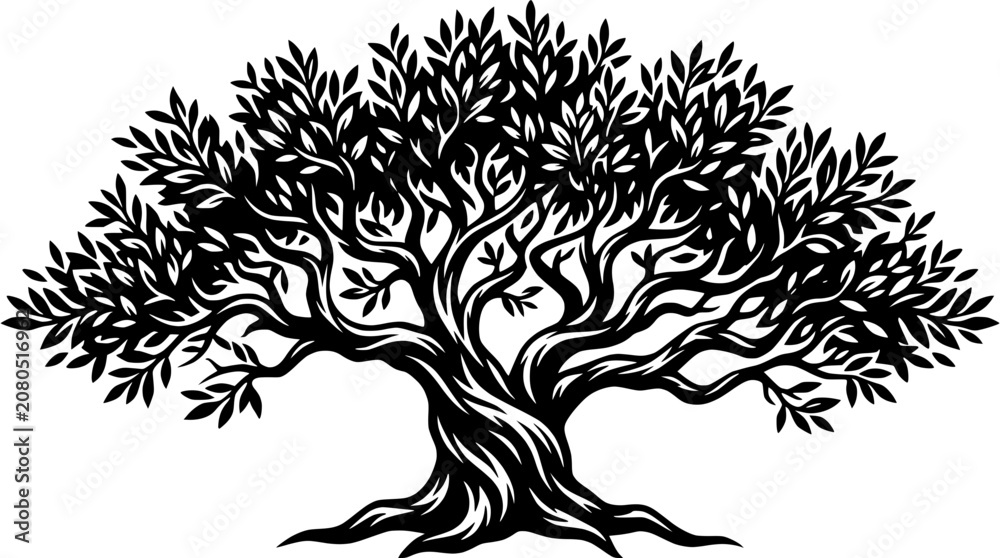 Fototapeta premium Stylized Olive Tree Silhouette Vector Art