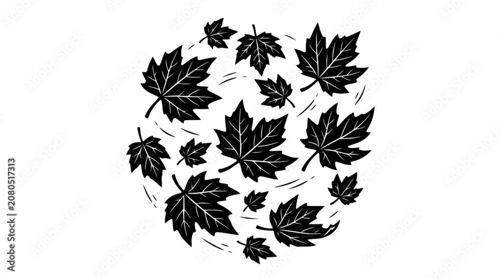 Fototapeta premium Black Maple Leaves Swirling in Circle Pattern, Autumn Season Vector Graphic