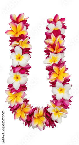 Colorful Flower Lei Necklace Garland.