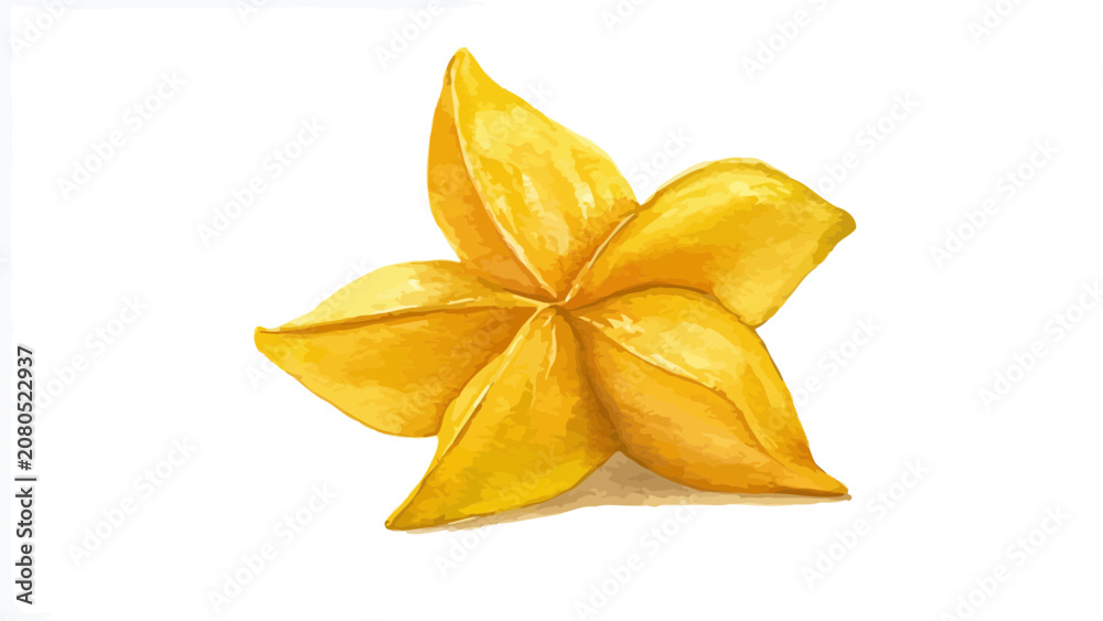 Fototapeta premium golden star fruit decoration