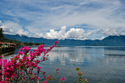 Flowery shores of Lake Maninjau in Indonesia