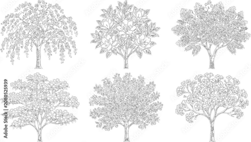 Fototapeta premium Six varied tree species sketches in elegant line art for botanical documentation