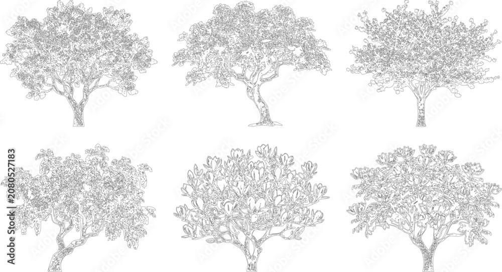 Fototapeta premium Set of six detailed line art tree illustrations for architectural design and landscaping 
