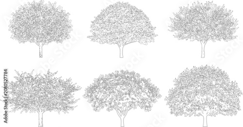 Six detailed tree silhouettes in line art style for architectural rendering projects
