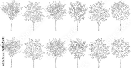 Twelve detailed tree line art icons for architectural site planning and layout design
