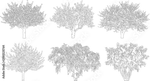 Set of six artistic tree sketches featuring varied foliage and branch structures
