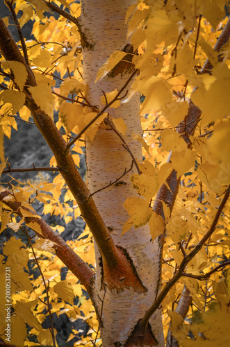 Beatiful Autumn landscape, fall season