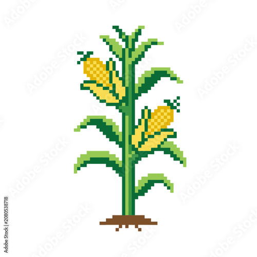 Pixel art corn plant with ears.