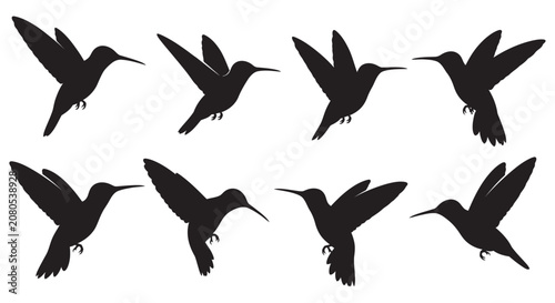 Schilderij op canvas Hummingbird Silhouettes On White Background Collection Of Black Bird Shapes