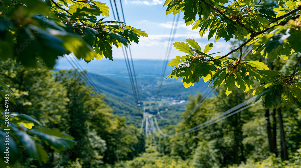 Fototapeta premium Power lines cutting through a thick green forest clearing toward a bright distant valley and sky lush sunlit leaves framing the scene nature and infrastructure electricity