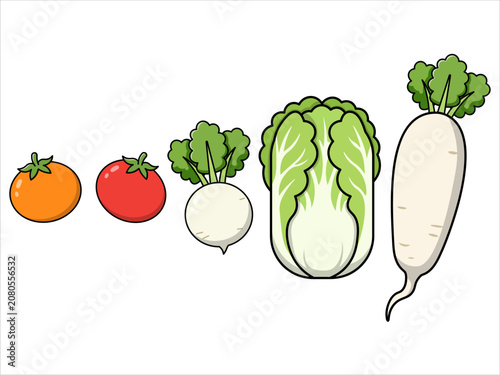 Cartoon Fresh Vegetable Illustration Set on White Background