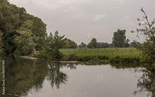 La Veyle près du parc du château de Pont-de-Veyle, Ain, France