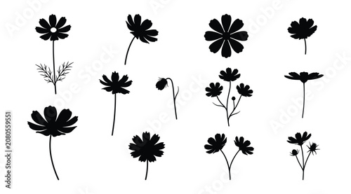Bild auf Leinwand Cosmos Flower Silhouettes, Flat Vector Garden Bloom Icon Set and Black Silhouett