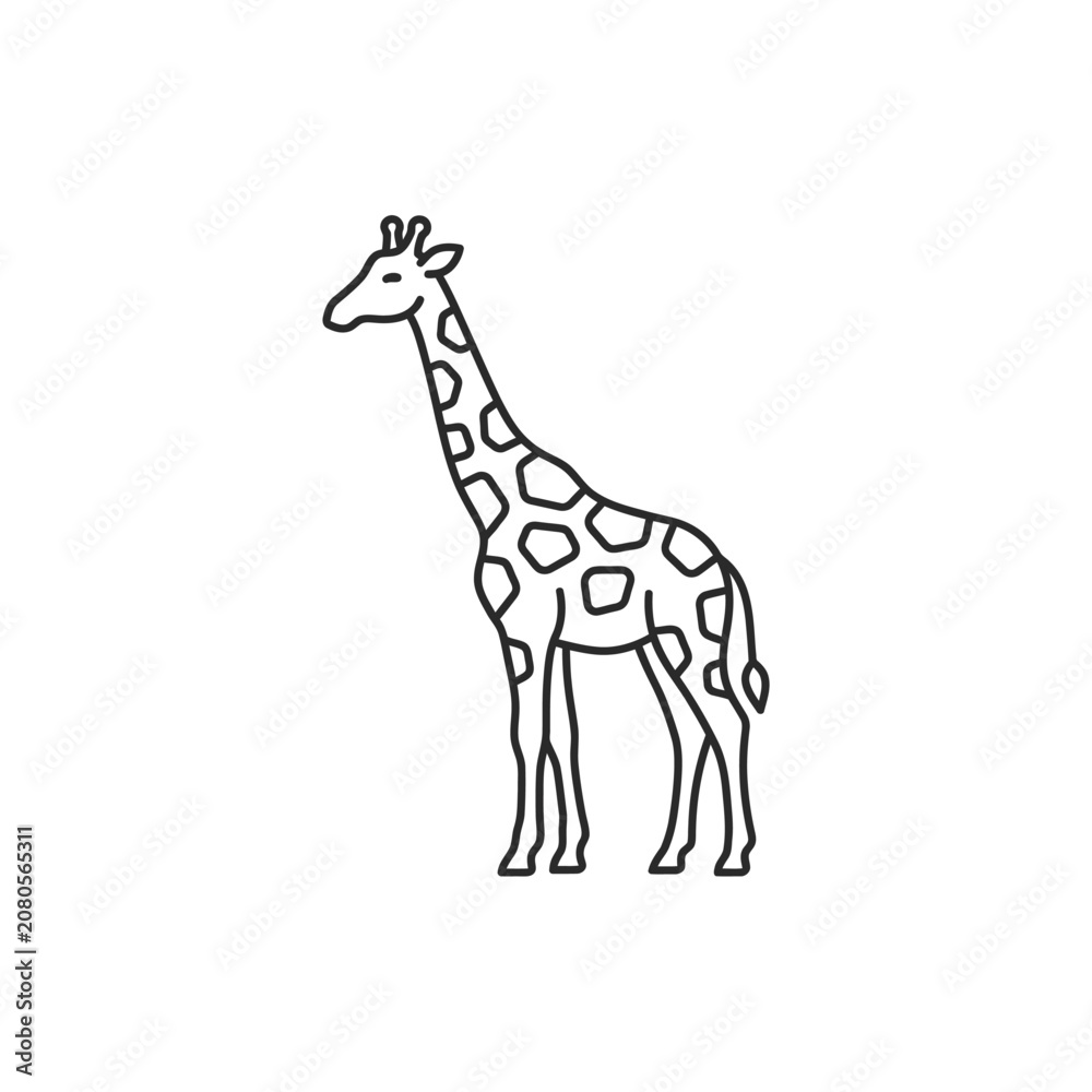 Fototapeta premium Giraffe outline icon with spots on transparent background vector animal illustration.