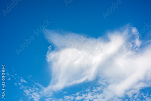 Unique Feather Shaped White Cloud in Blue Sky
