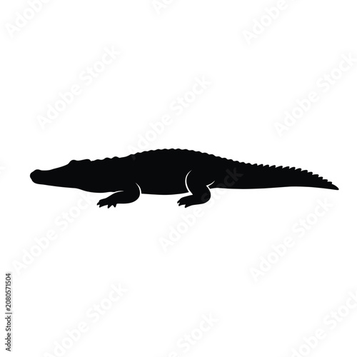 Black silhouette of a crocodile on white background