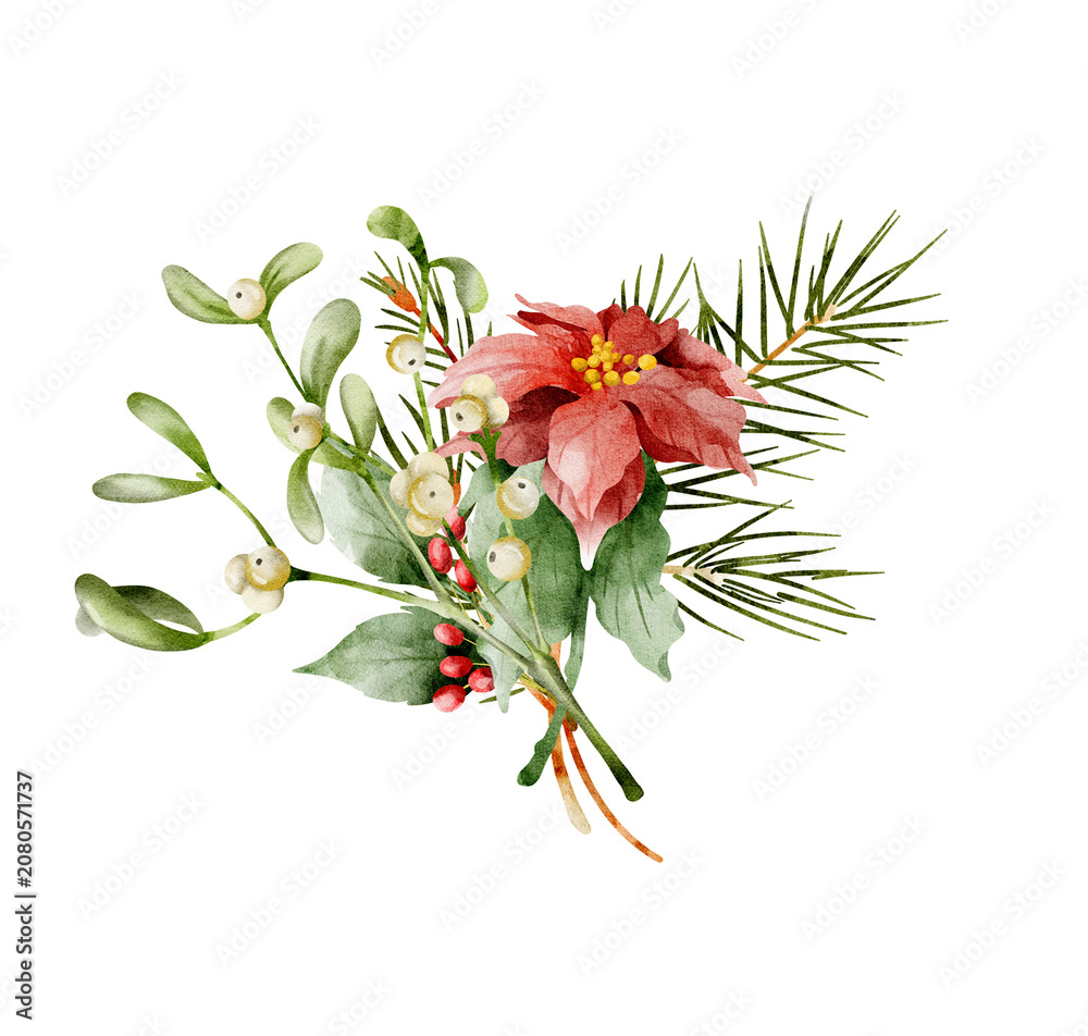 Fototapeta premium holly christmas bells botany watercolor plants new year clipart 