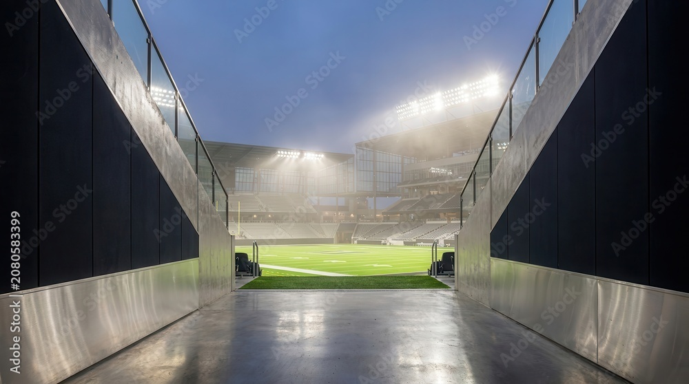 Fototapeta premium Stadium tunnel leading to a bright green sports field under a cloudy sky.