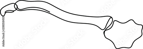 Schilderij op canvas Illustration of a human finger bone structure showing joints and phalanges