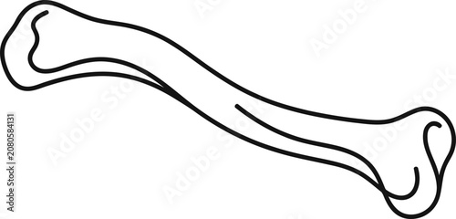 Bild auf Leinwand Simple black and white line art illustration of a human clavicle bone
