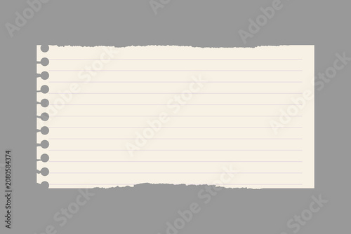 Obraz na płótnie Blank torn lined paper sheet vector element