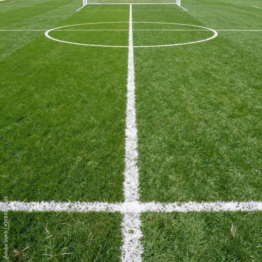 Obraz premium Art Deco Soccer Line. A Soccer Field With White Lines Against A Soft Green Background