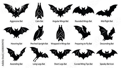 A Comprehensive Collection Of Fifteen Unique Silhouette Icons Of Various Bat Postures