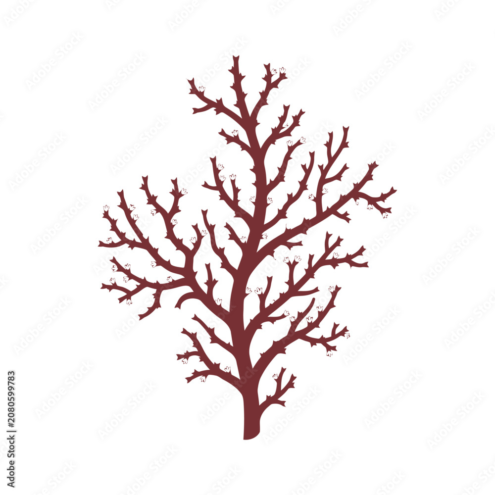 Fototapeta premium Deep Red Decorative Coral Branch Illustration for Nature Inspired Graphic Design