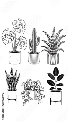 Set of six indoor potted house plants in minimalist line art style with houseplants botanical interior minimalist illustration greenery succulent monstera collection houseplant