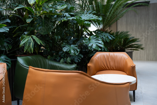 Modern office lounge with comfortable seating and lush indoor plants in a contemporary coworking space. Business lounge and office interior for collaboration and flexible work
